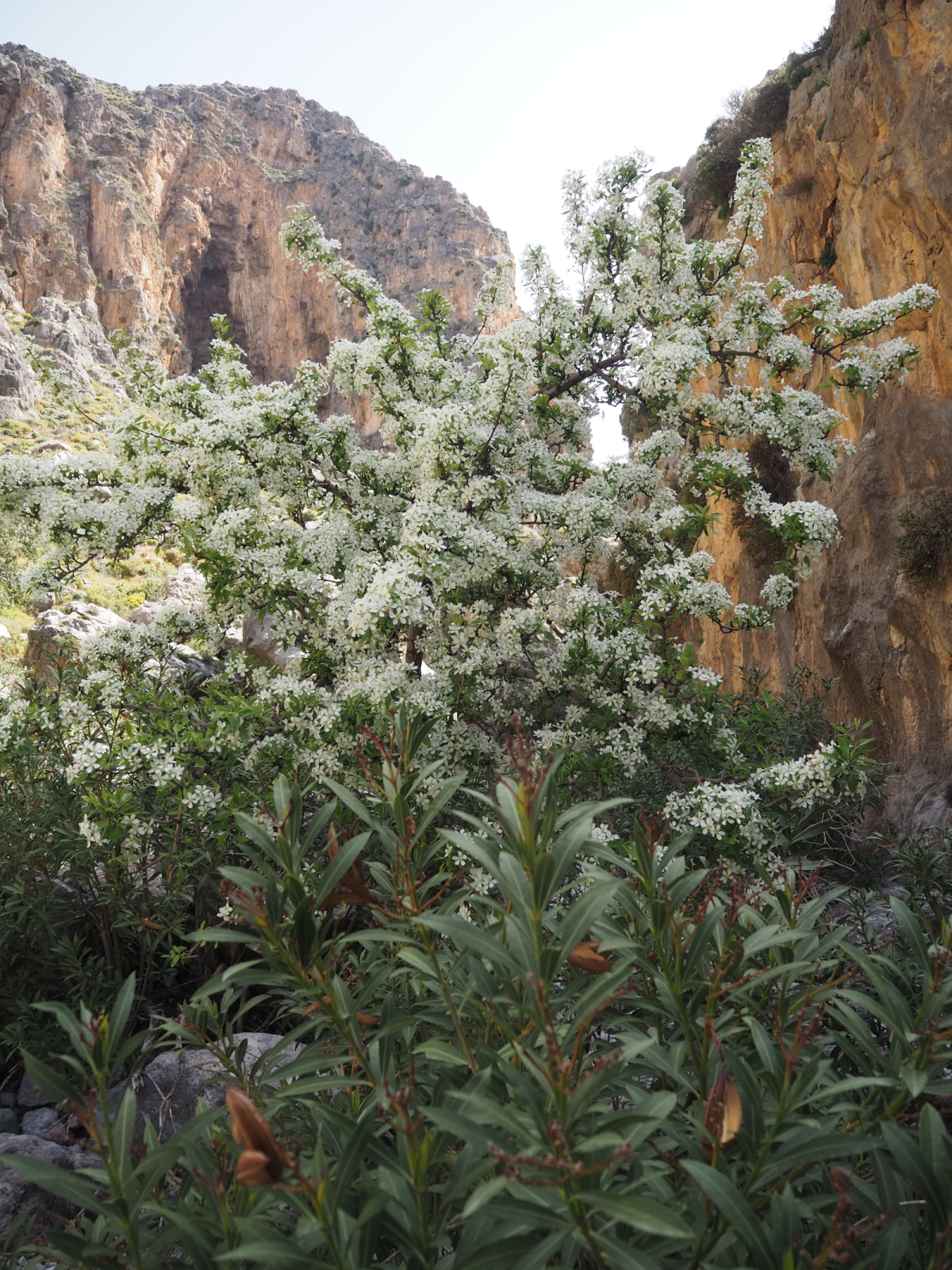 P4090017
