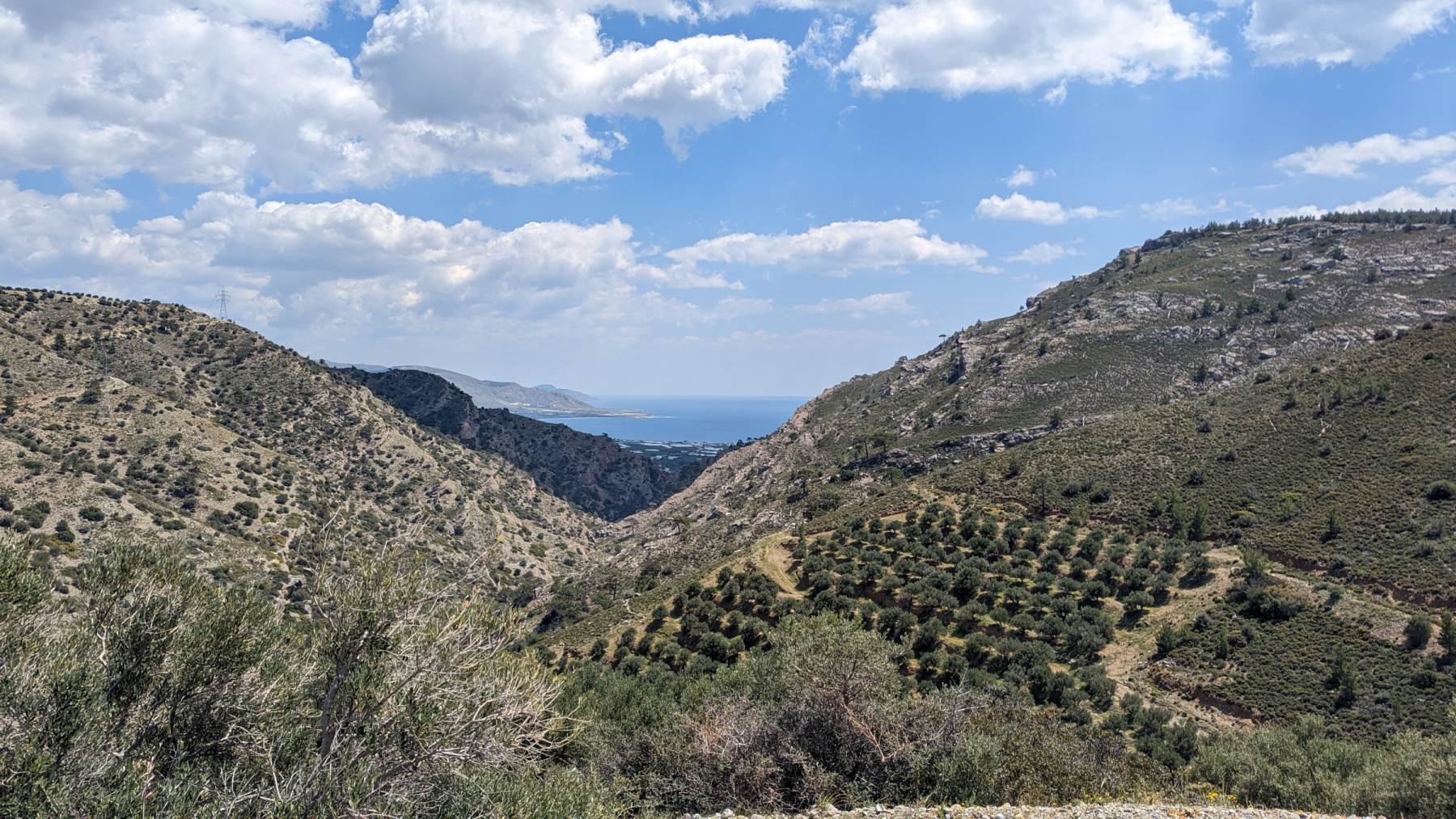PXL_20230412_101608091