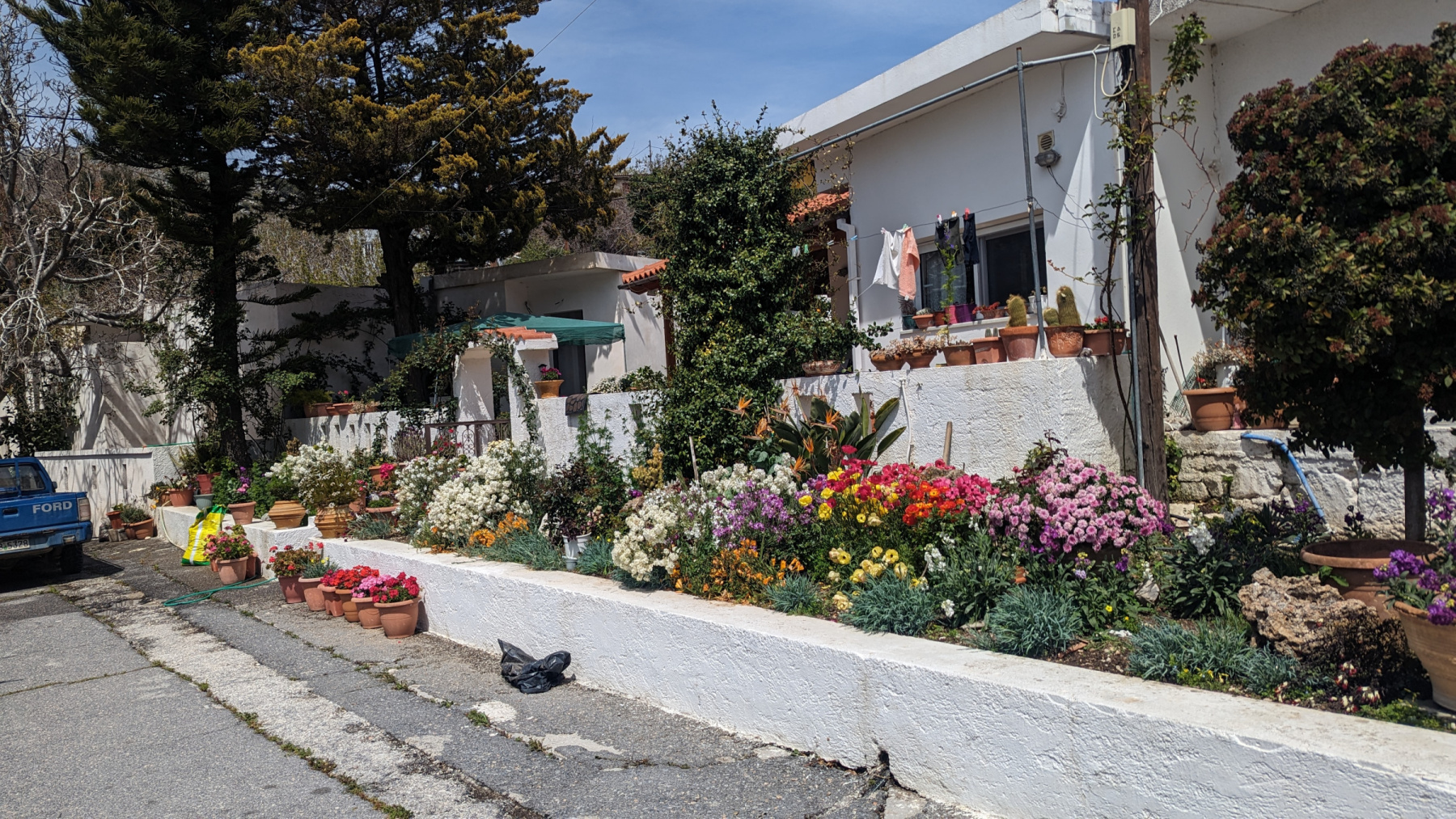 PXL_20230414_091054075