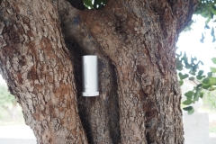 Netatmo weather station