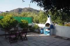 BBQ in the yard