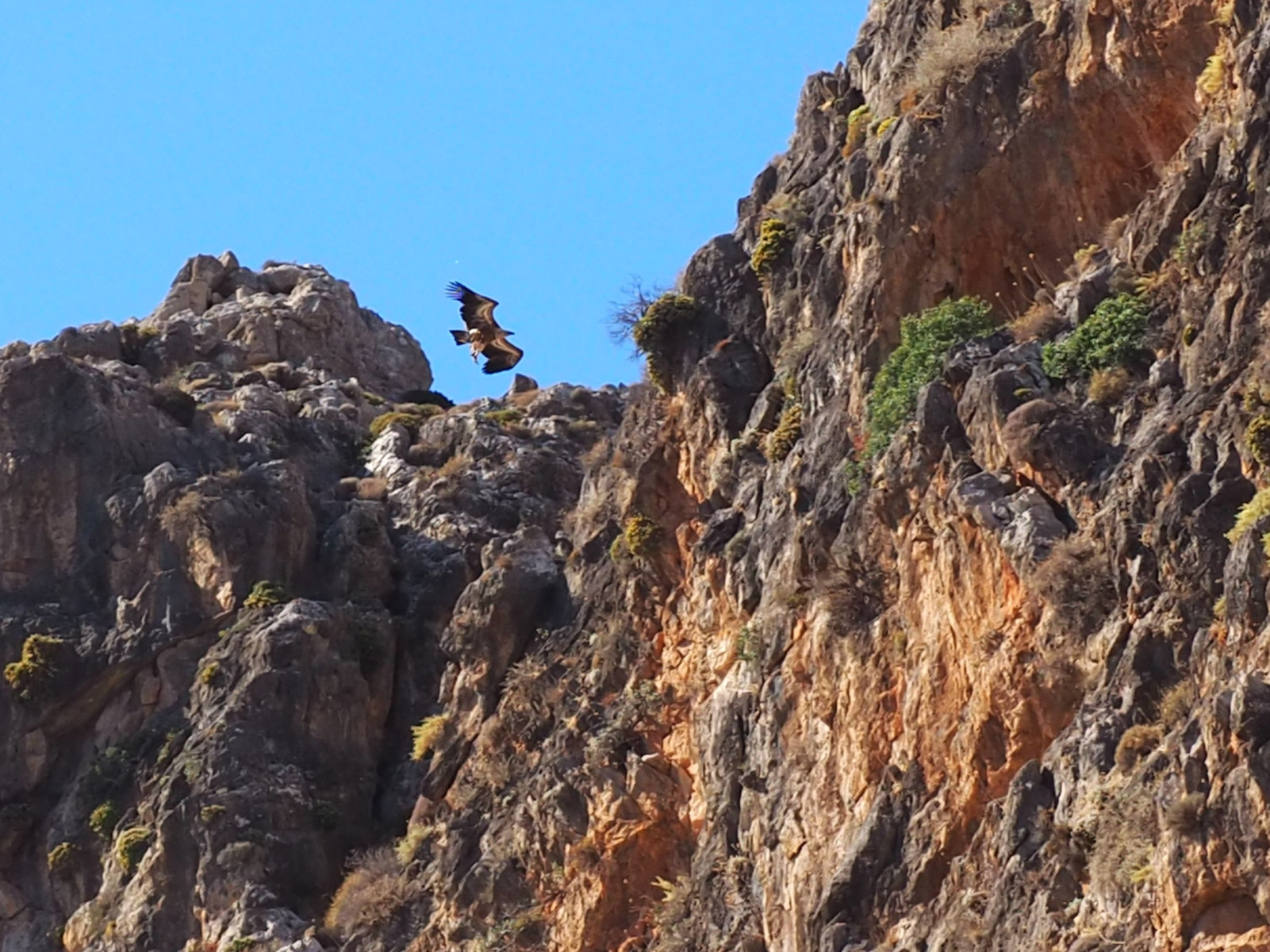 On landing in the rock's niche